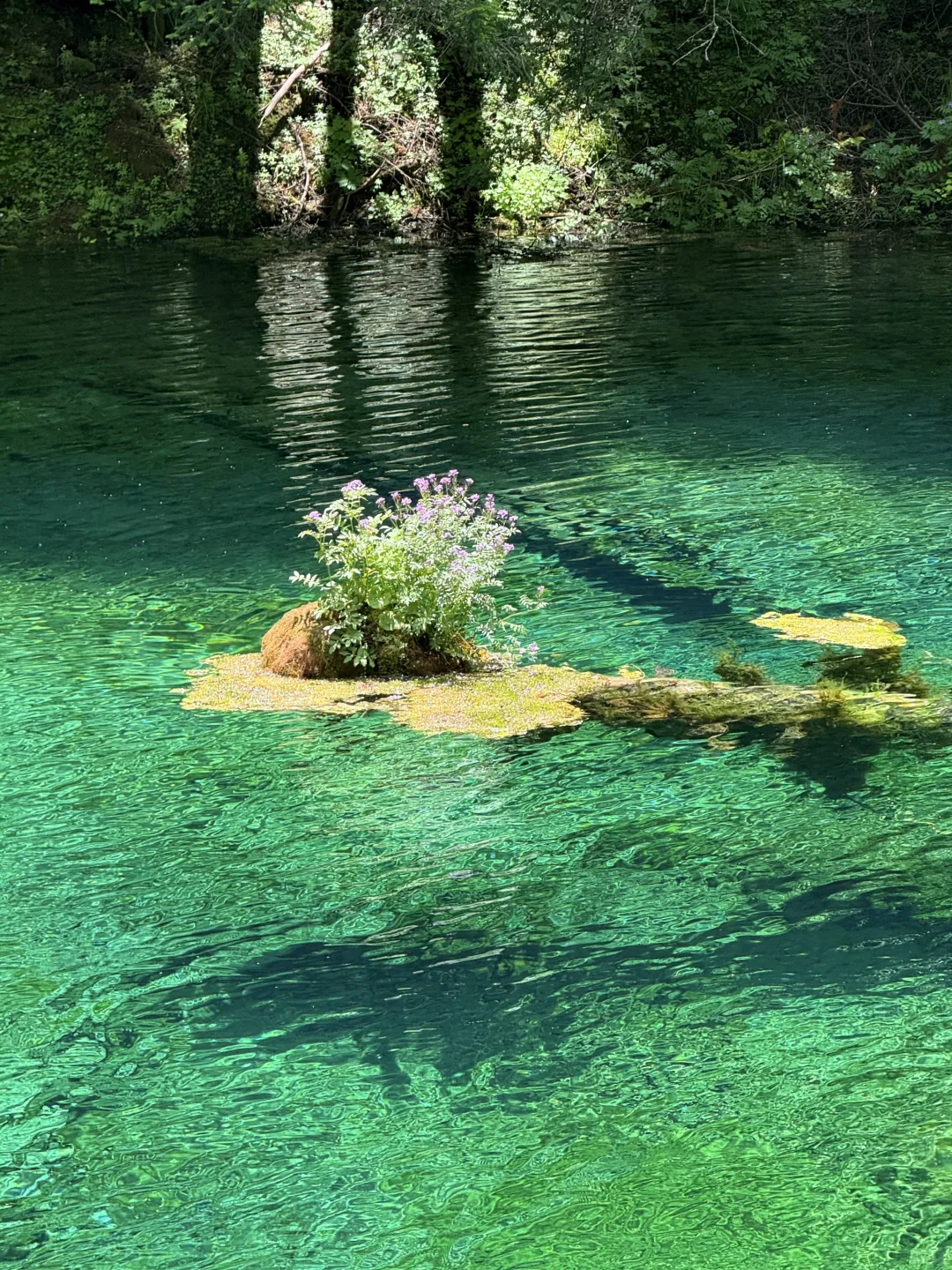 牟尼沟很美，但该避的坑咱还是要说清楚！