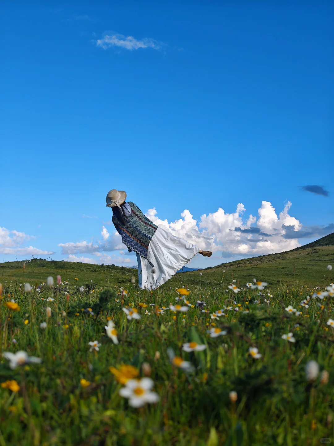 周末两天打来回,可玩红原免费两个景区‼️
