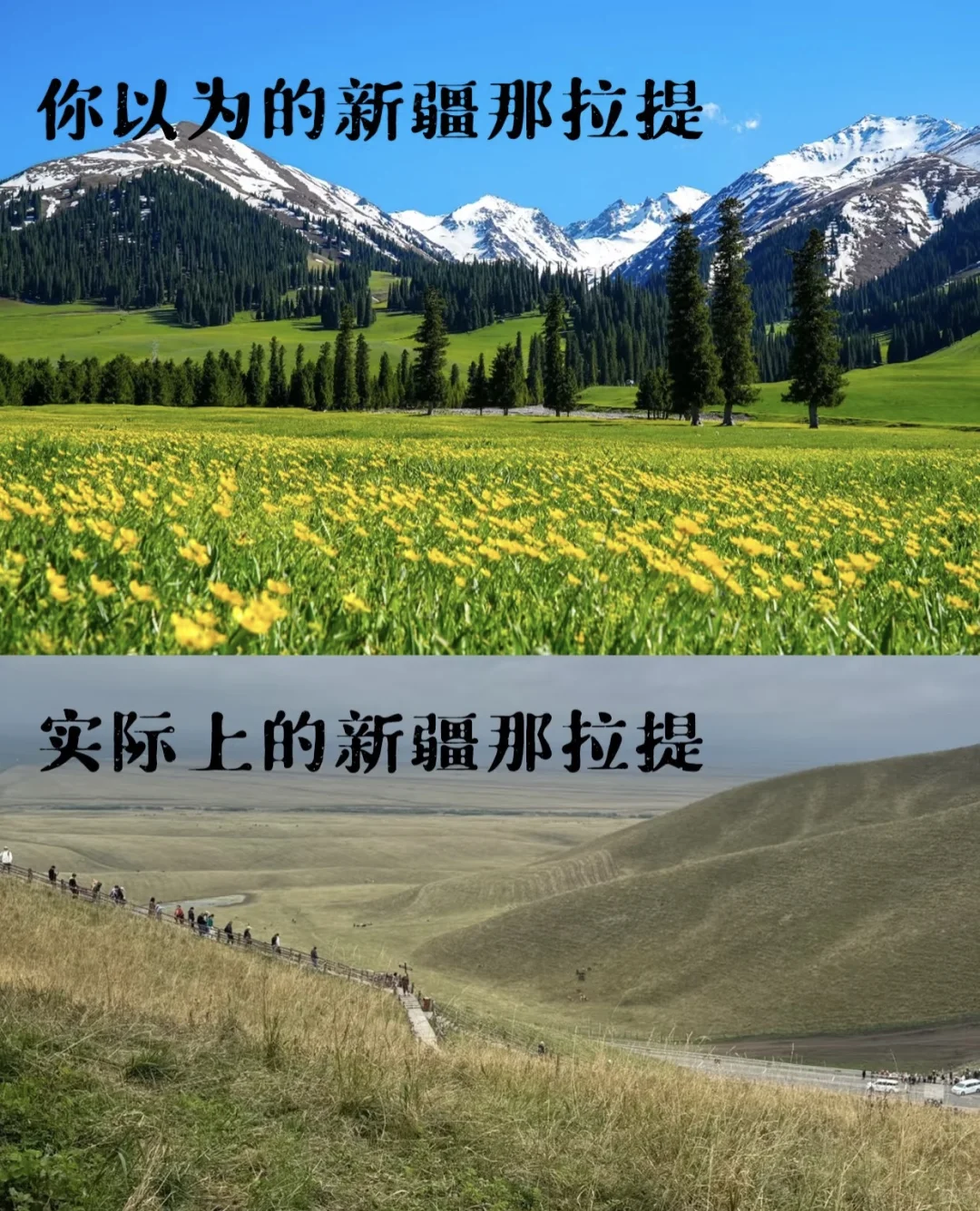 玩透归来!这些“反套路”提醒,早看早省心