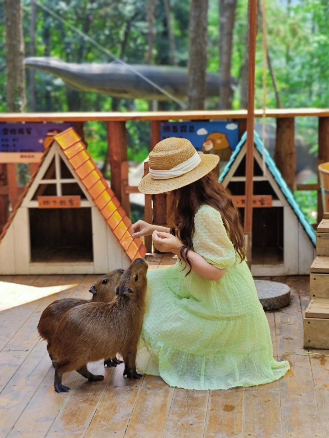 跟着苏超玩常州｜江浙沪宝藏避暑地出现了