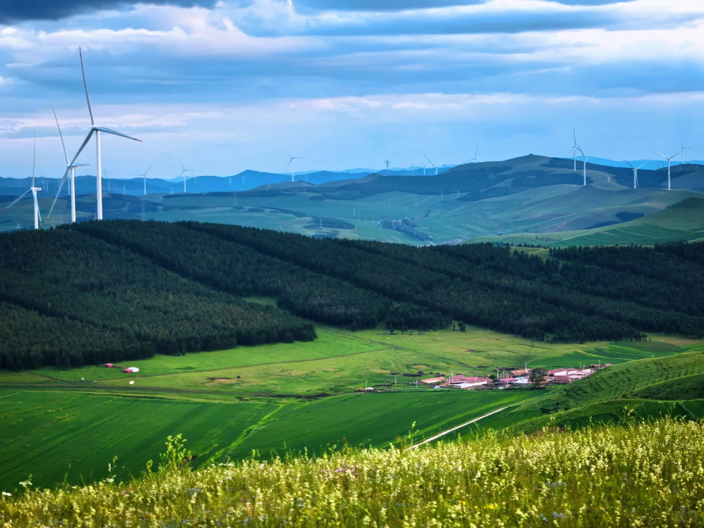 去不了阿勒泰，只能去河北，我在河北找到了
