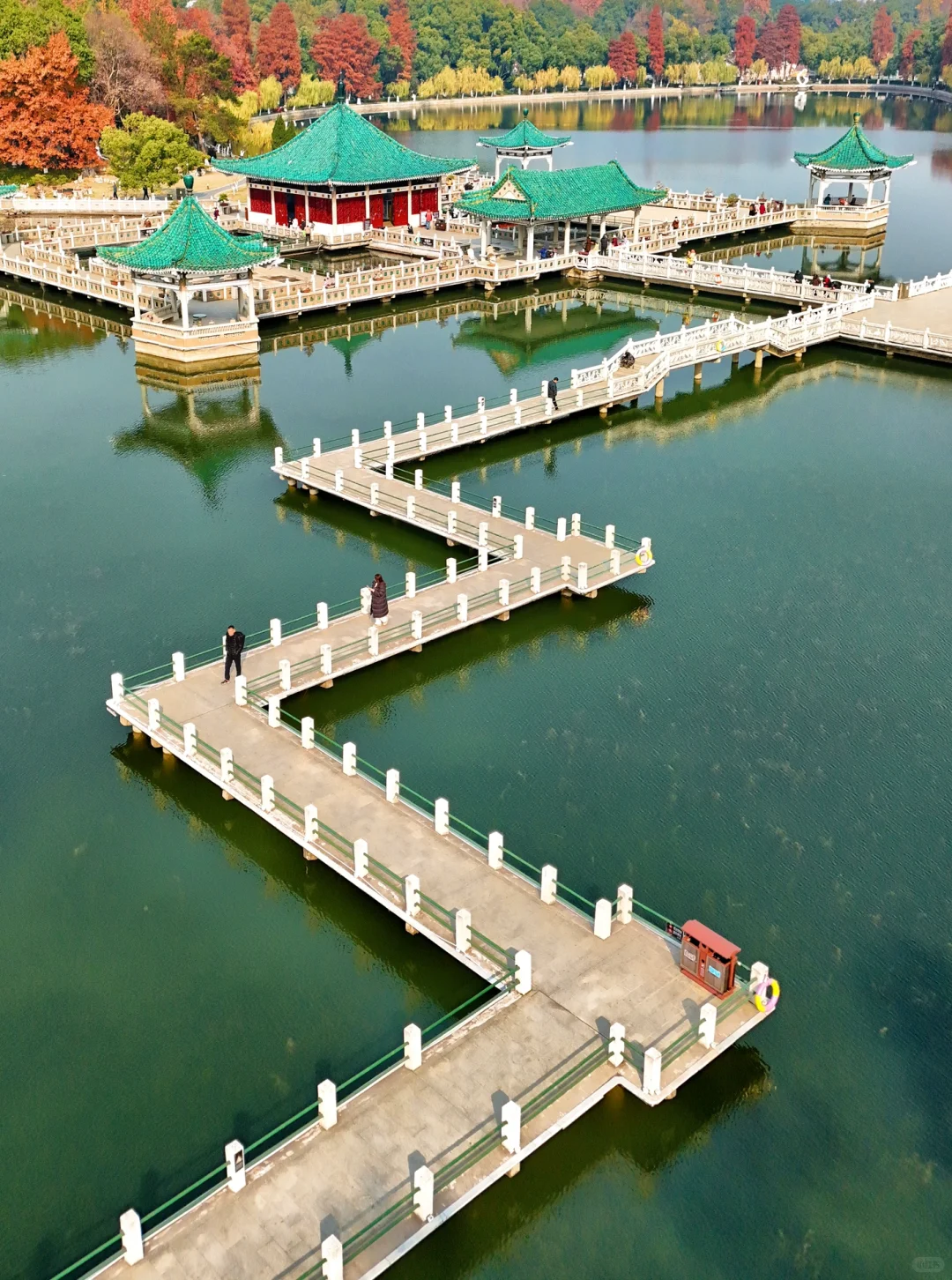 如果你第一次来东湖❗️那这份精华攻略请收好