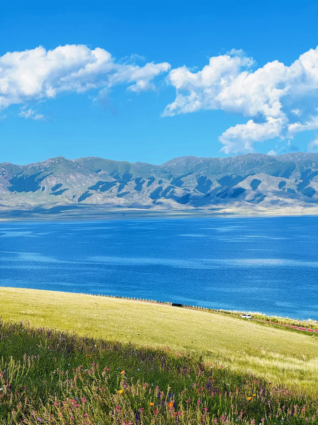 纯净版赛里木湖，逼真的像油画作品