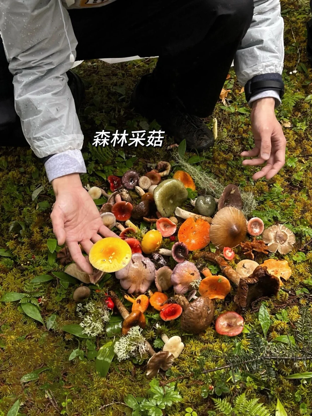 和老公跟团去了香格里拉，这人生酒店太震撼