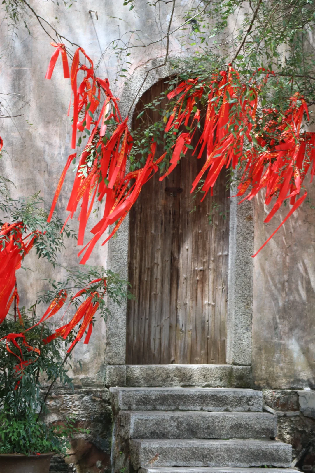 西溪南➕呈坎特种兵一日游