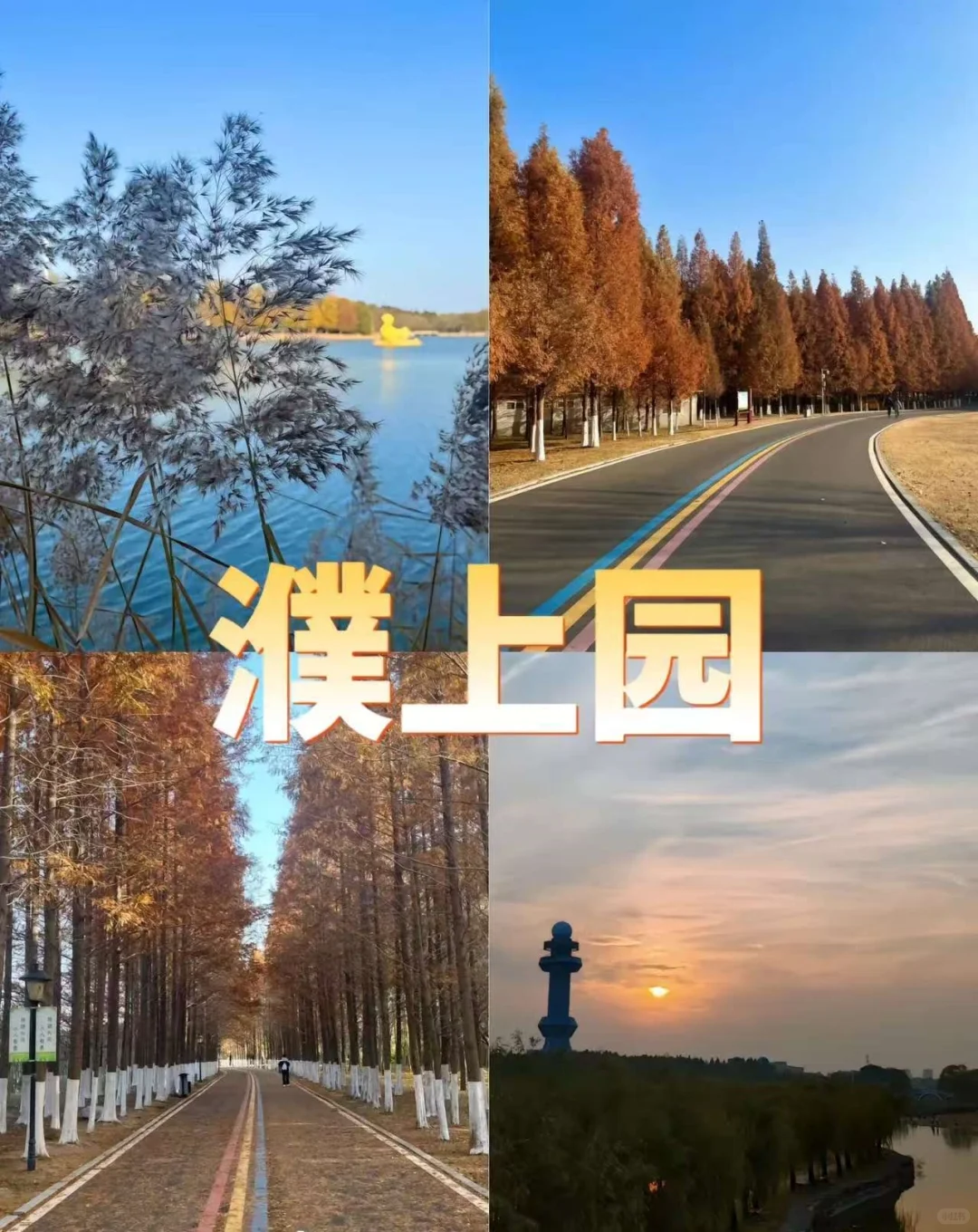 濮阳：邂逅古韵今风的奇幻之旅