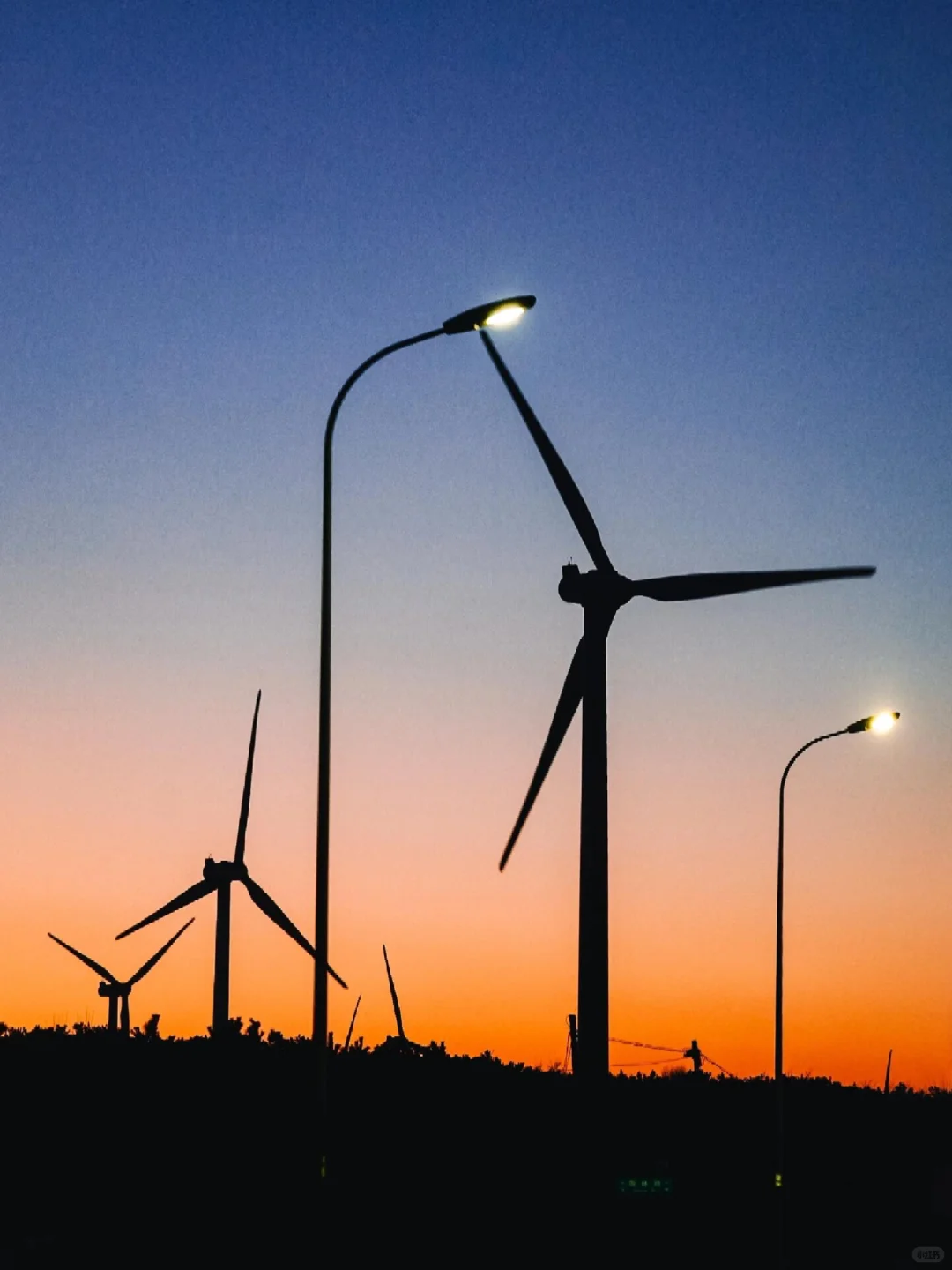 暑期溜娃指南—威海篇3天2晚不踩雷攻略