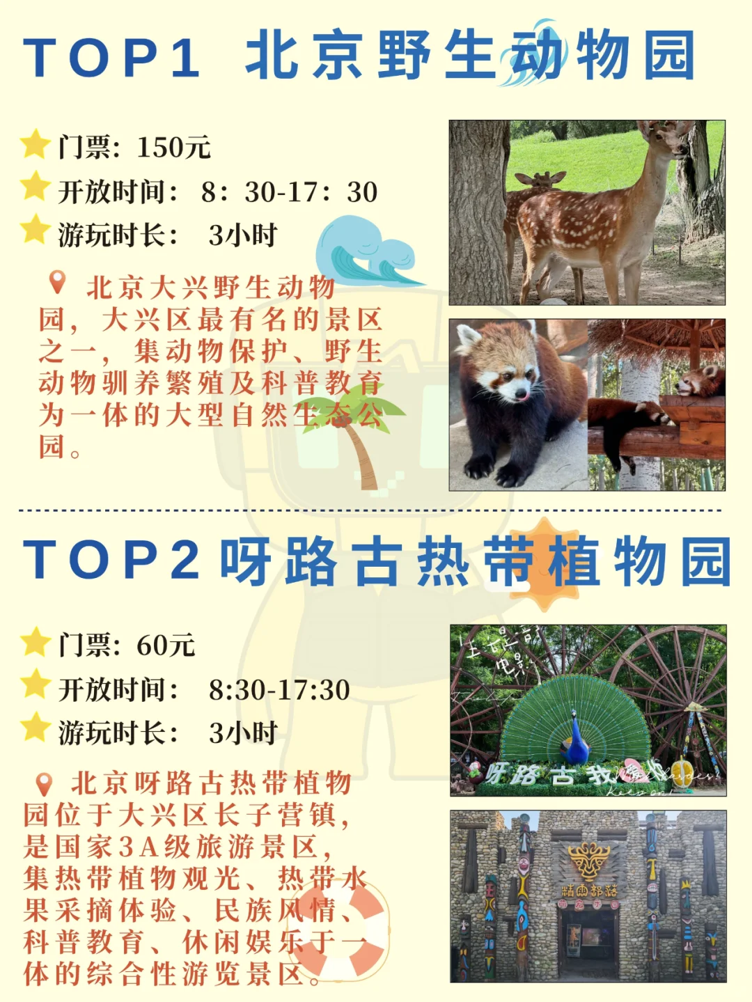 北京团建✅大兴区9个必去打卡点