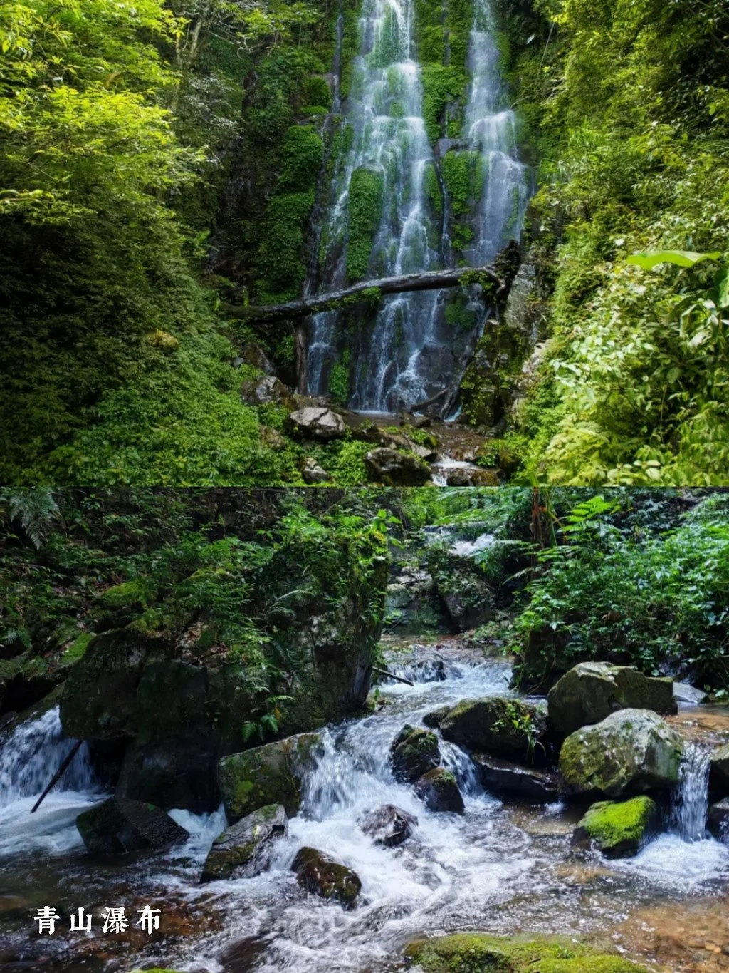 来广西金秀，21℃过夏天！高温避暑宝藏地