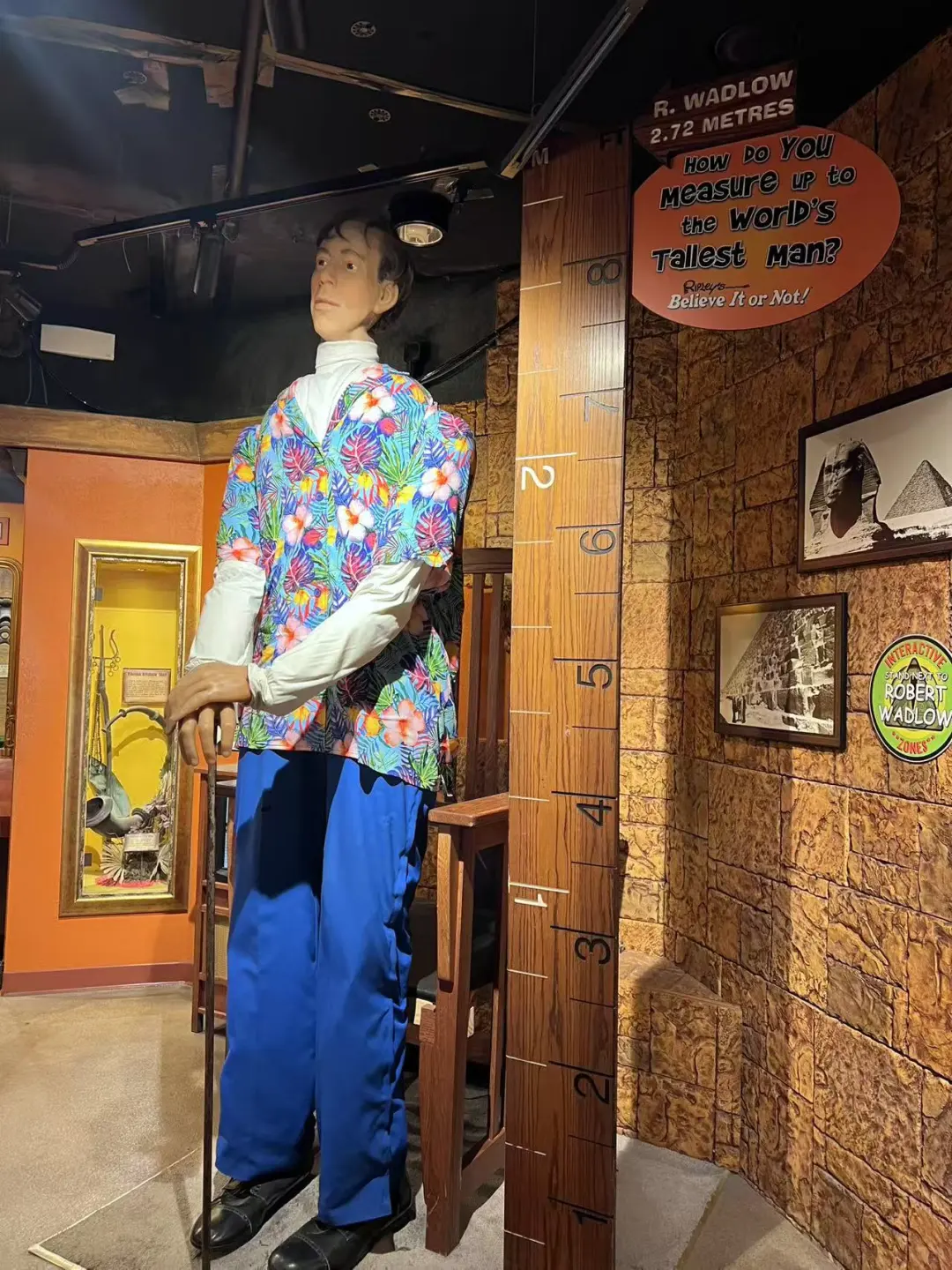 黄金海岸半日游