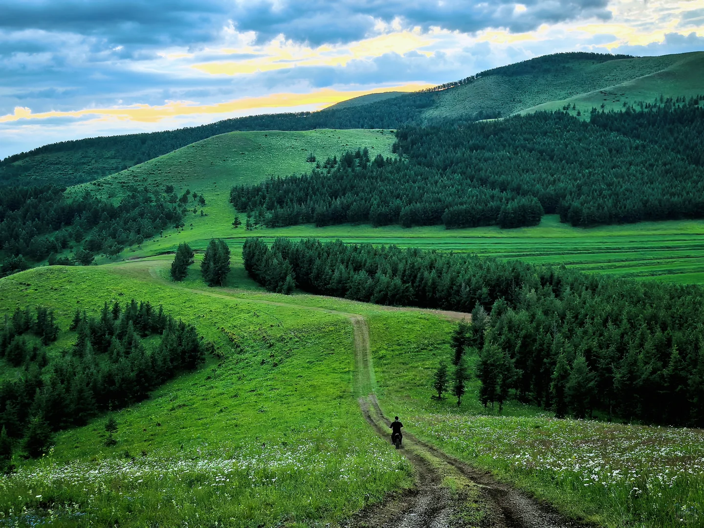 去不了阿勒泰，只能去河北，我在河北找到了