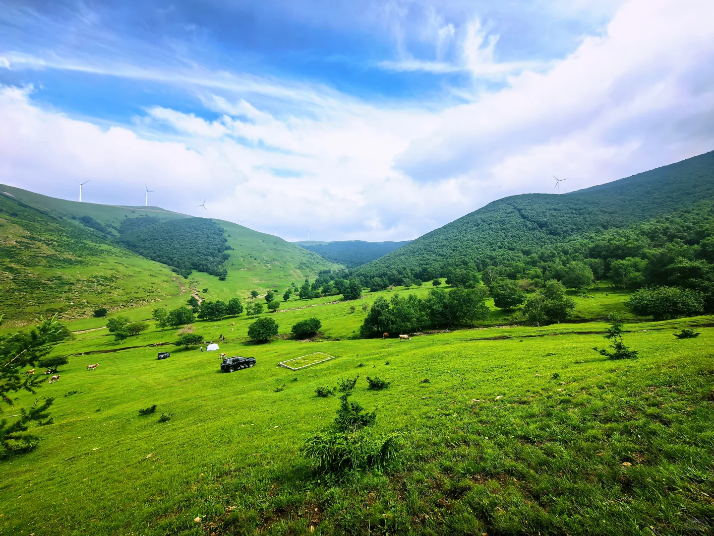 去不了阿勒泰，只能去河北，我在河北找到了