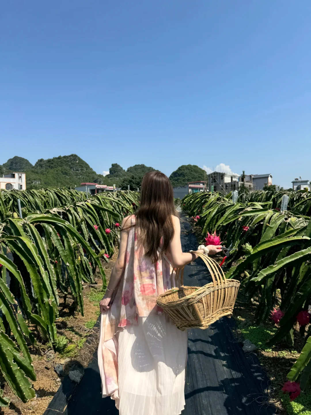 本以为桂林很适合遛娃了，直到去了贵州🤩