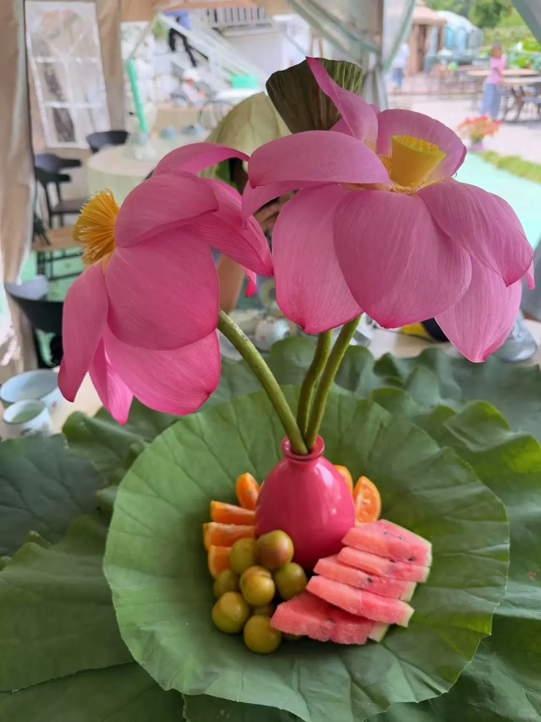 你好·文山壮族苗族自治州 普者黑1