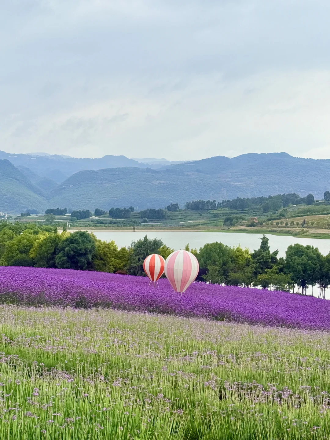 迄今为止，最爱的云南小城出现了！！！