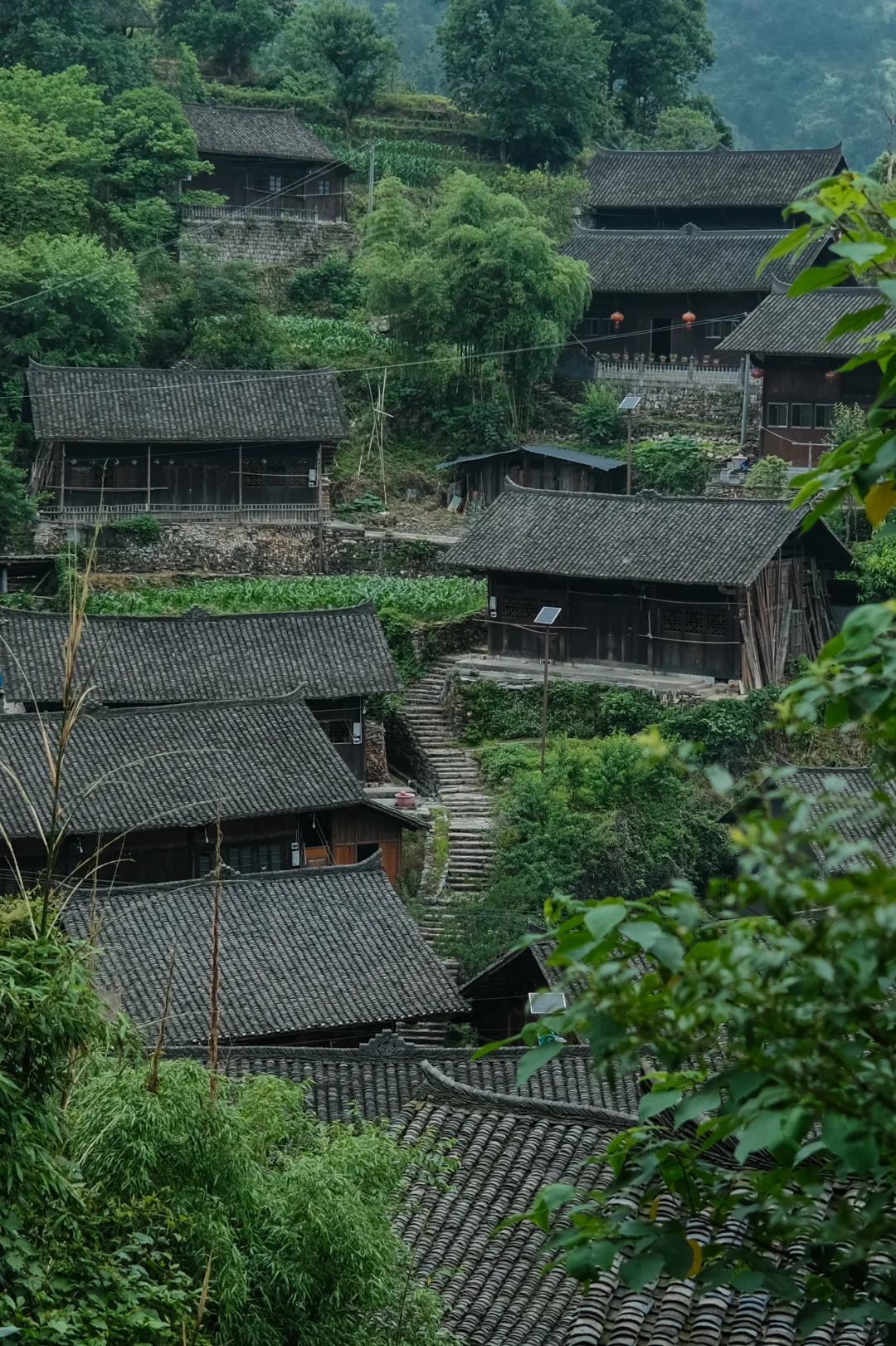 到了湖南湘西，求求别只去凤凰古城了🙏🏻