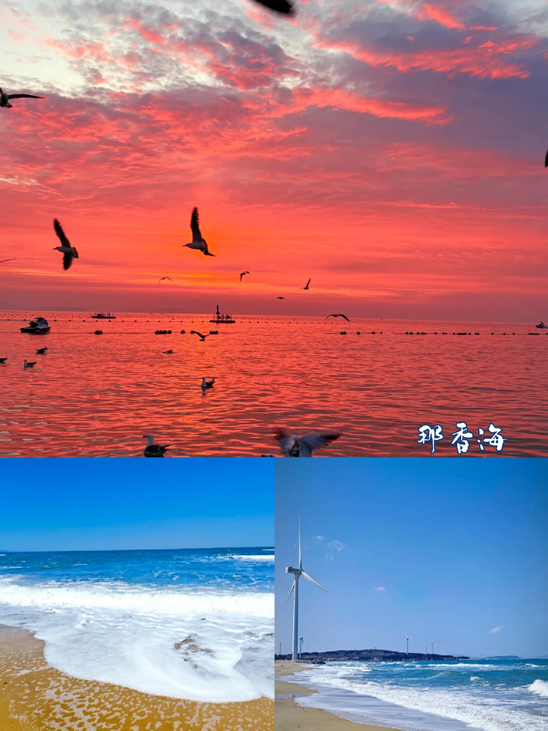 暑期溜娃指南—威海篇3天2晚不踩雷攻略