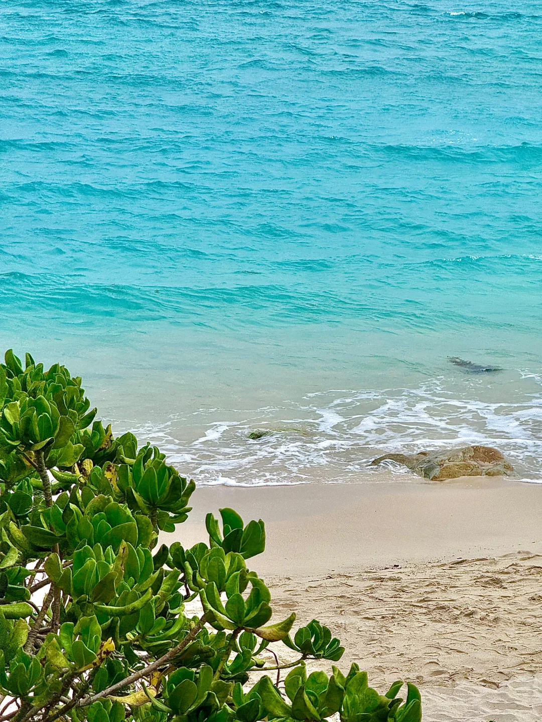 实况live！为了这片玻璃海🐚🫧我飞了趟三亚
