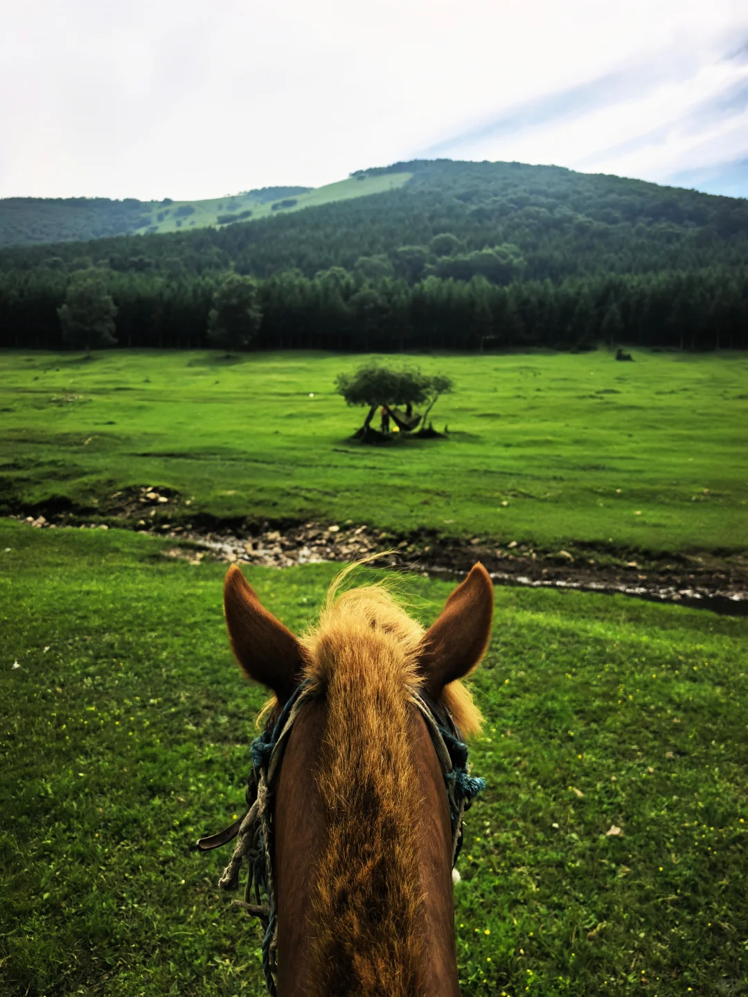 去不了阿勒泰，只能去河北，我在河北找到了
