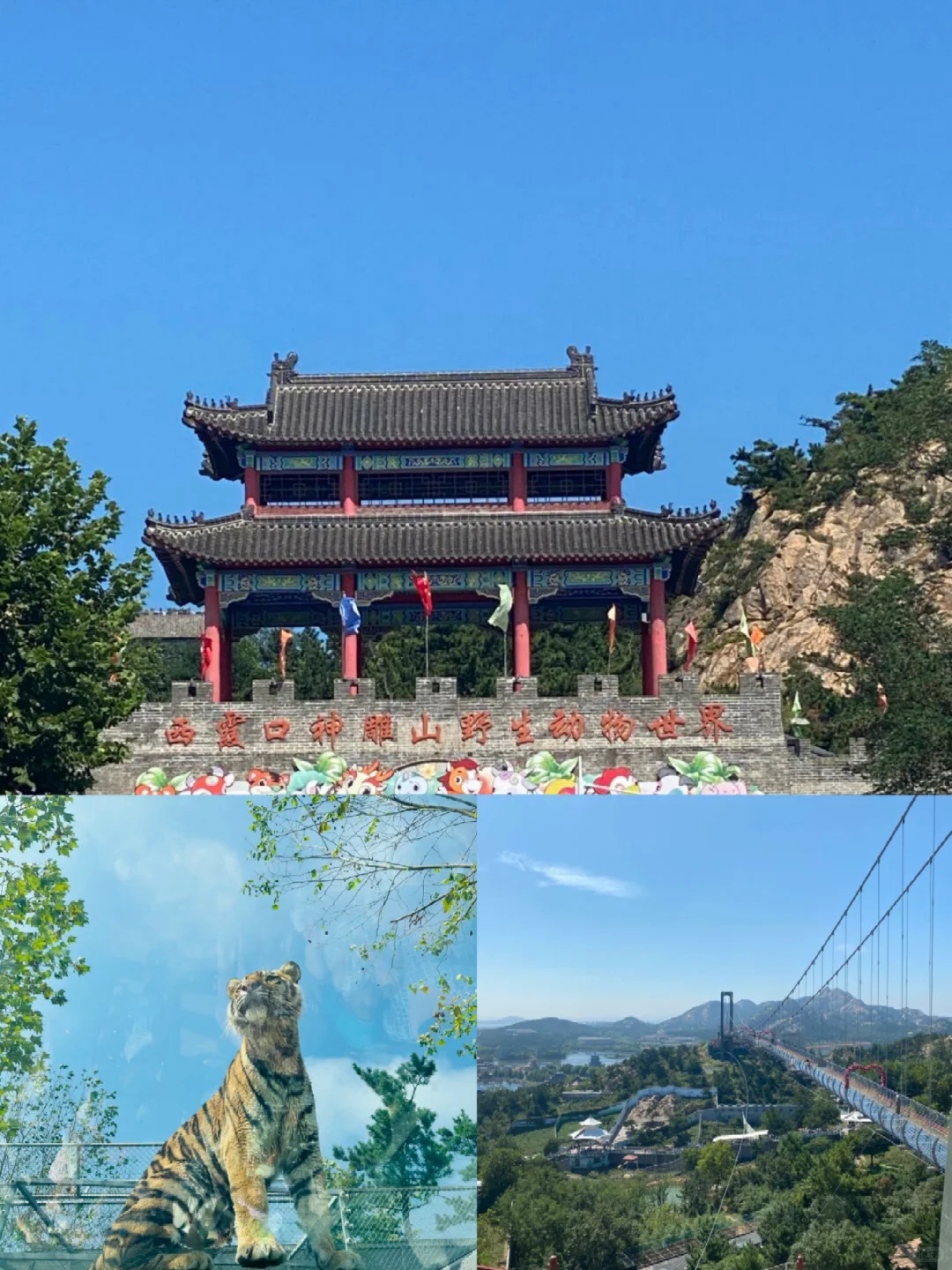 暑期溜娃指南—威海篇3天2晚不踩雷攻略