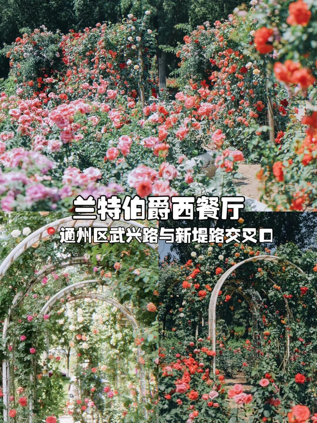 北京16个免费小众打卡景点大全！