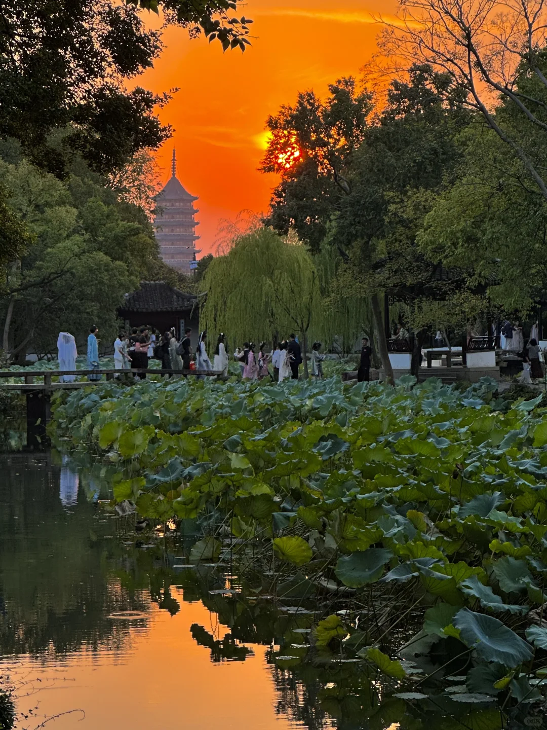 离开苏州前：一定要拍的🔟个机位。。。