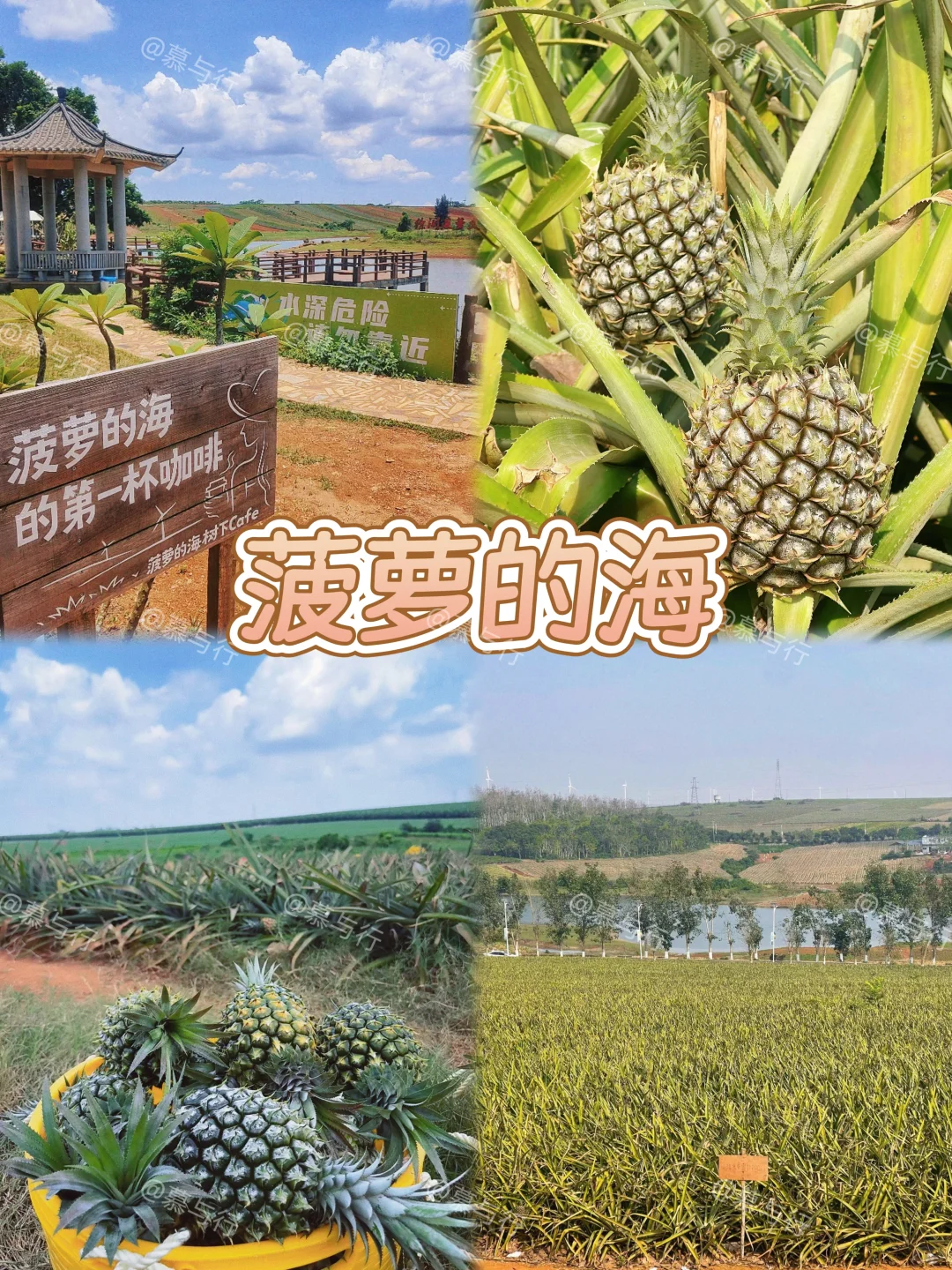 📍湛江｜两天一夜游玩攻略