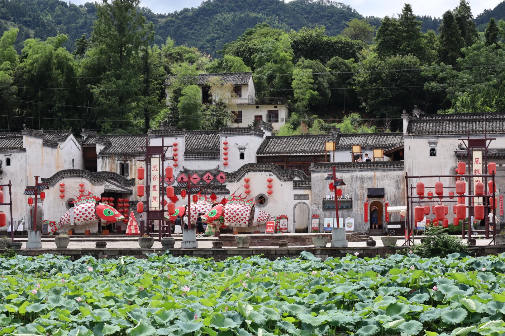 西溪南➕呈坎特种兵一日游