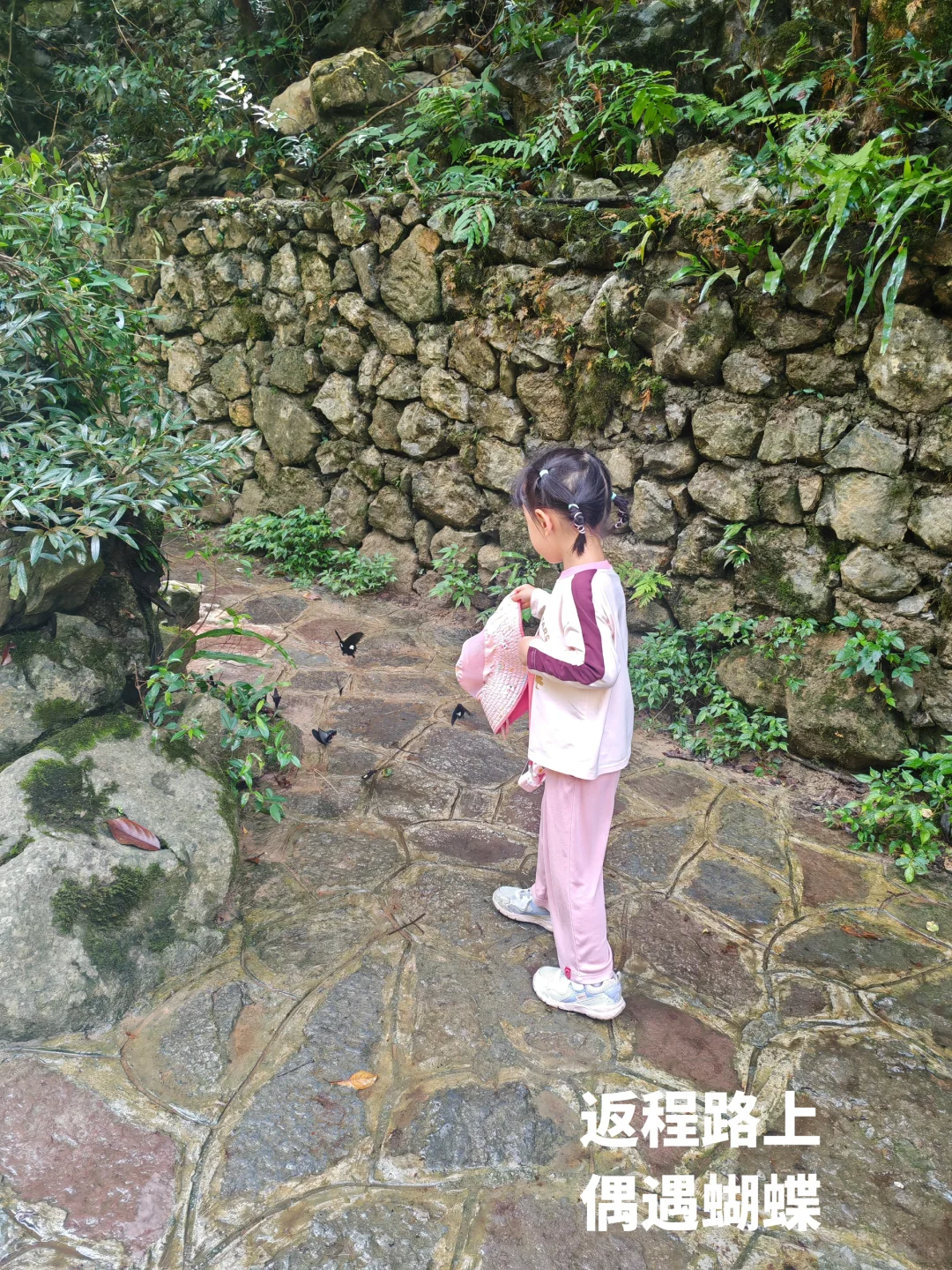 荔波大七孔☄️喀斯特野性美,人少别错过‼️