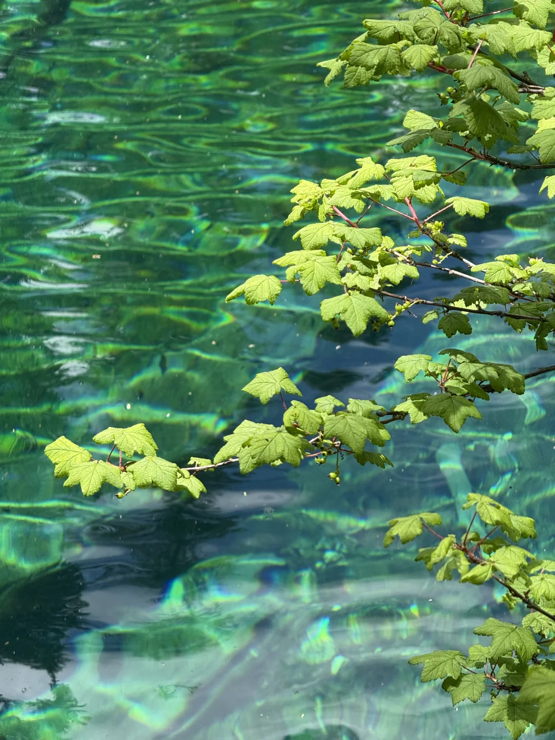 牟尼沟很美，但该避的坑咱还是要说清楚！