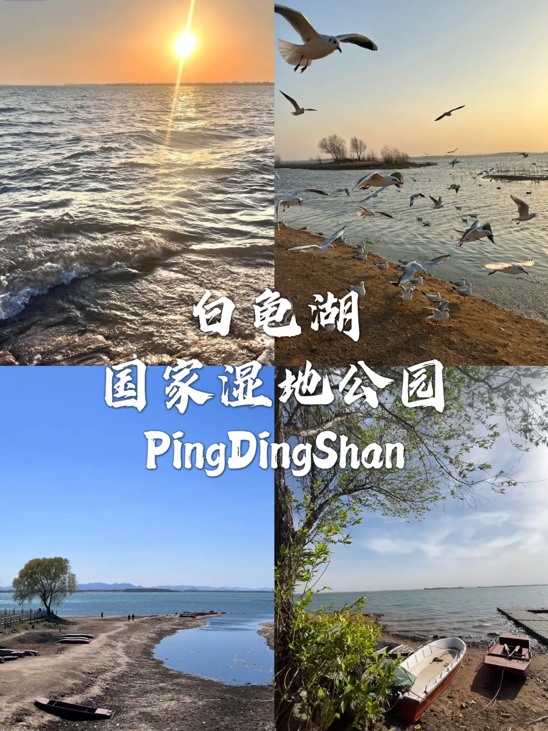 平顶山必去九大景点推荐！！