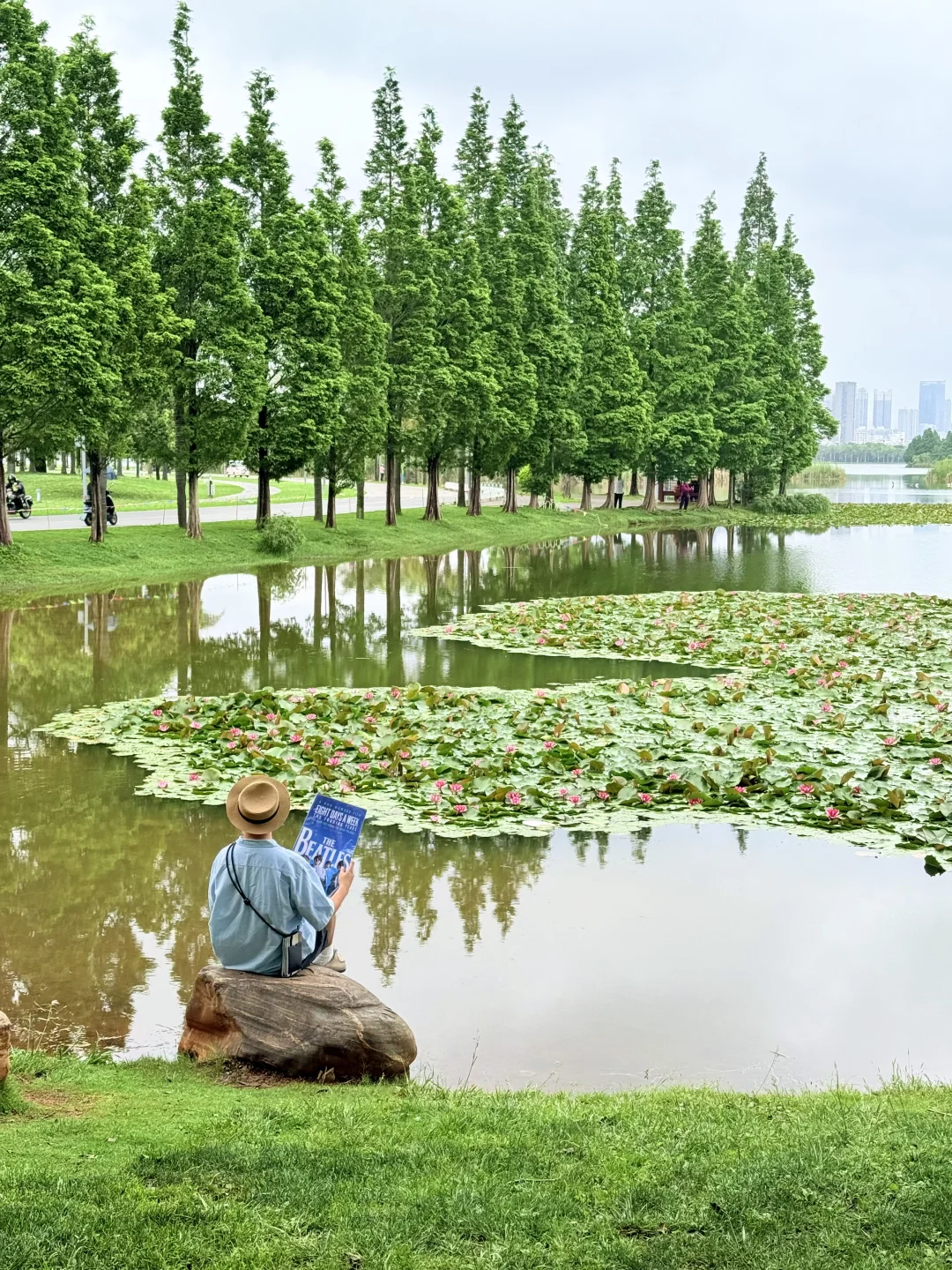 迄今为止，最爱的云南小城出现了！！！