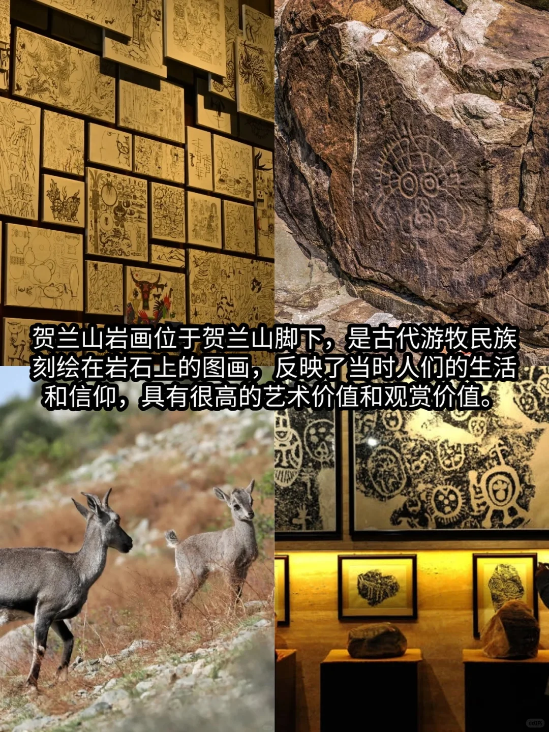 土著熬夜写的😭😭银川三天两夜旅游攻略