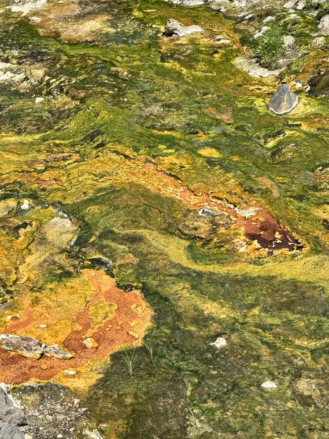 7月的长白山天池