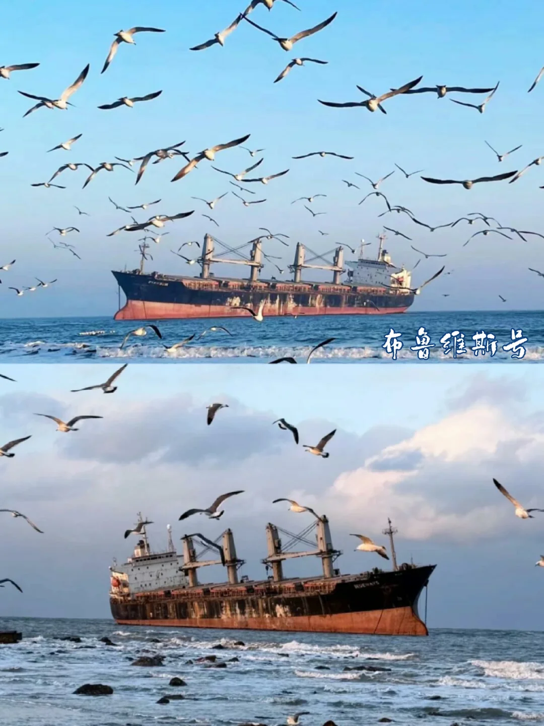 暑期溜娃指南—威海篇3天2晚不踩雷攻略