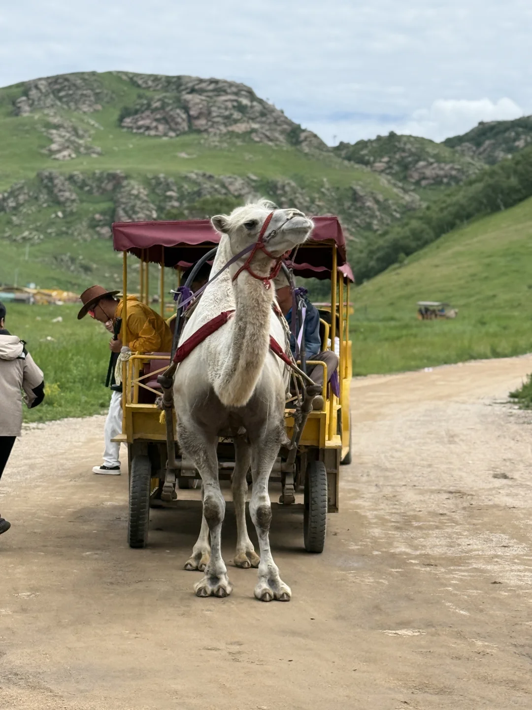 🔥周末避暑天花板‼️两天玩遍火山+草原~