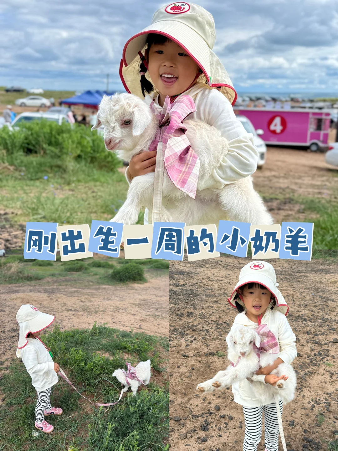 🔥周末避暑天花板‼️两天玩遍火山+草原~