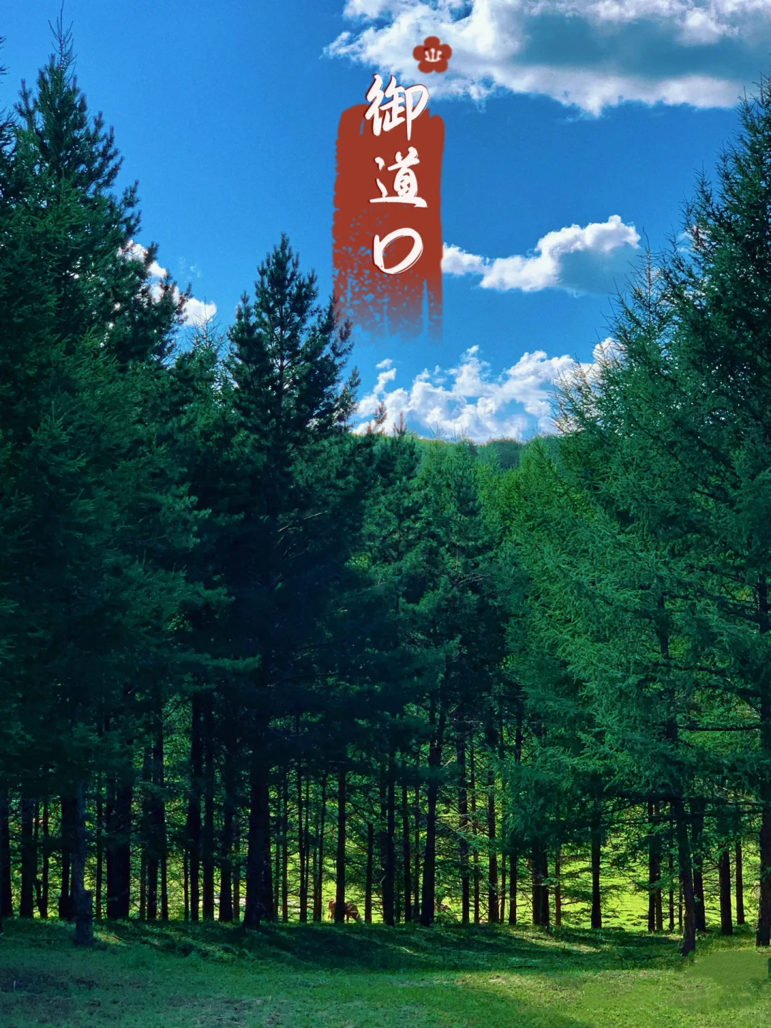 承德旅游，10大必玩景点