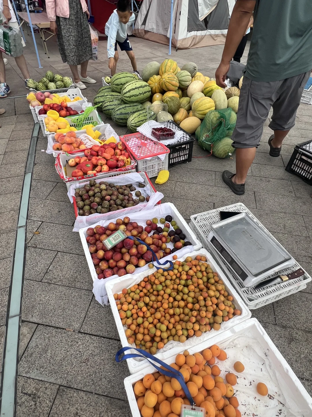 一家三口南京自驾新疆，你们关心花费来啦