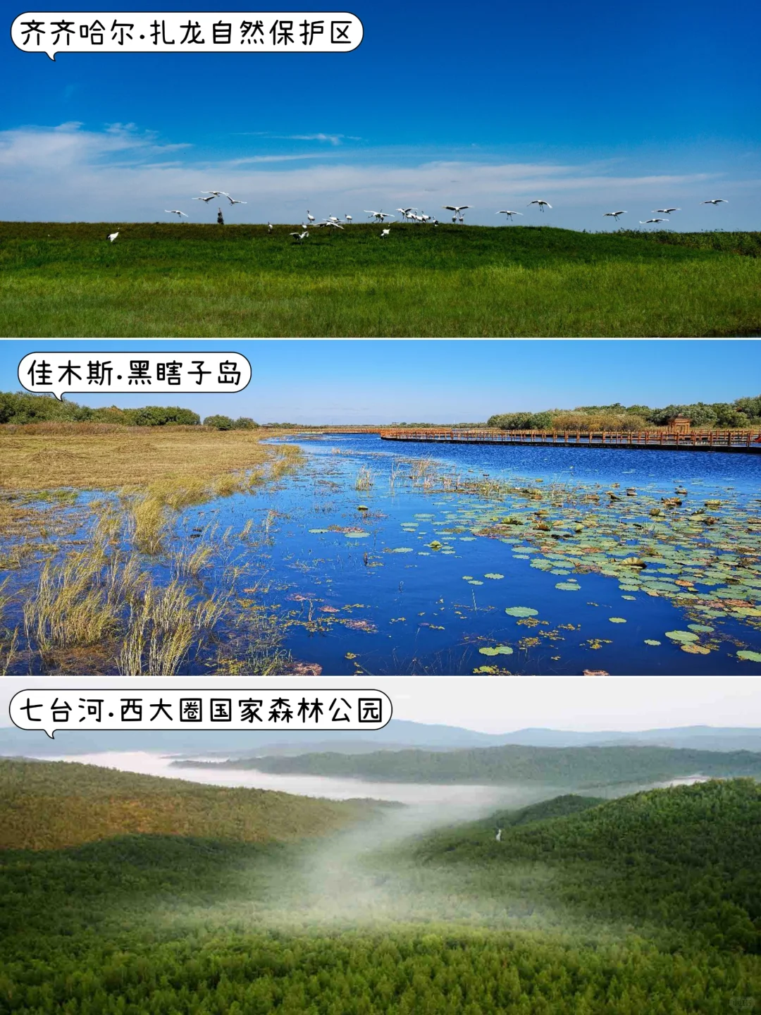 ✨黑龙江旅游一图秒懂｜你打卡了多少个？