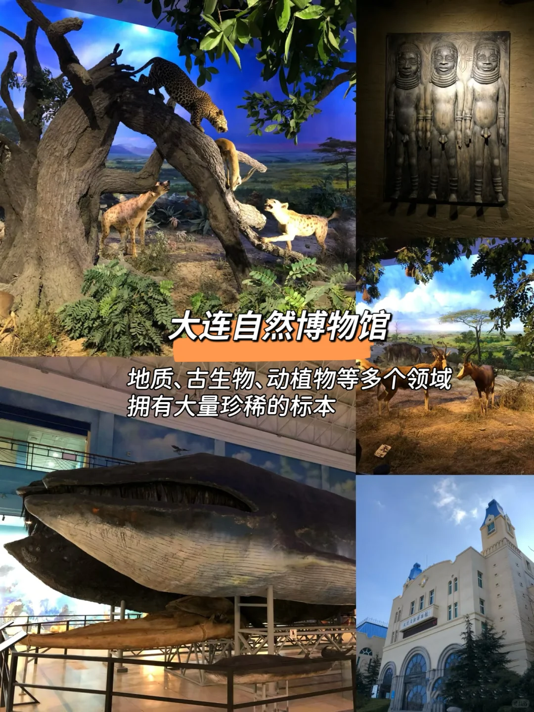 大连三日游｜不踩坑❗️吃喝玩乐全攻略