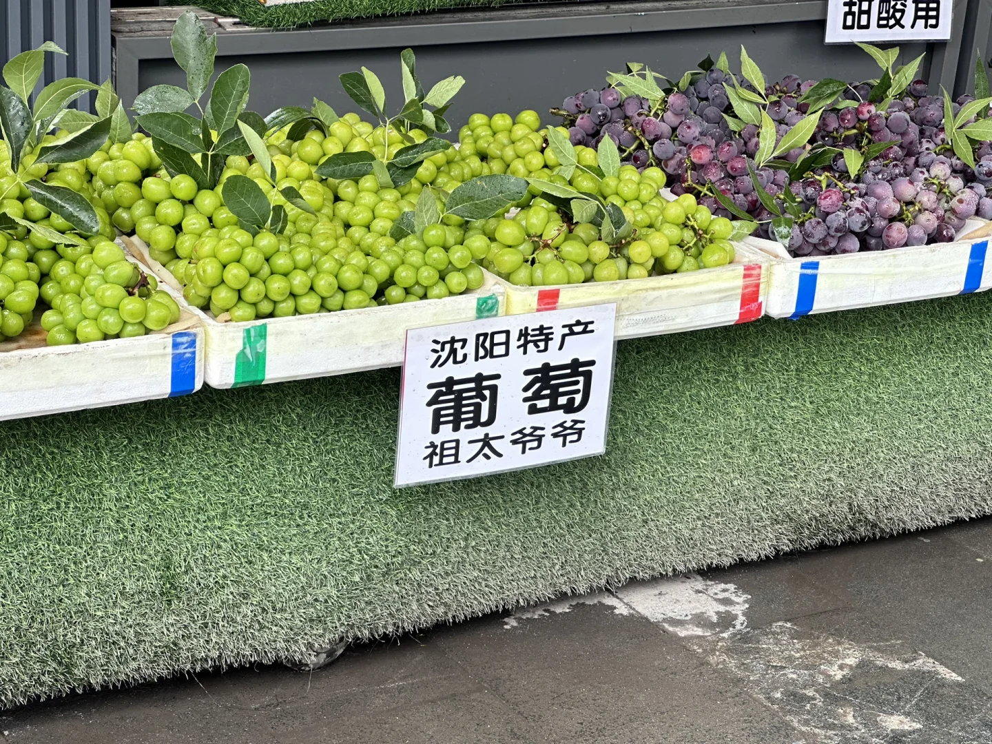 沈阳、旅游、感悟…