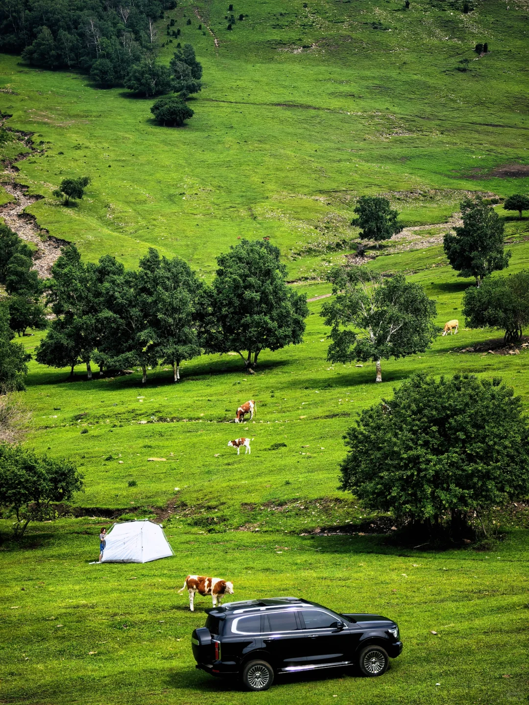 去不了阿勒泰，只能去河北，我在河北找到了