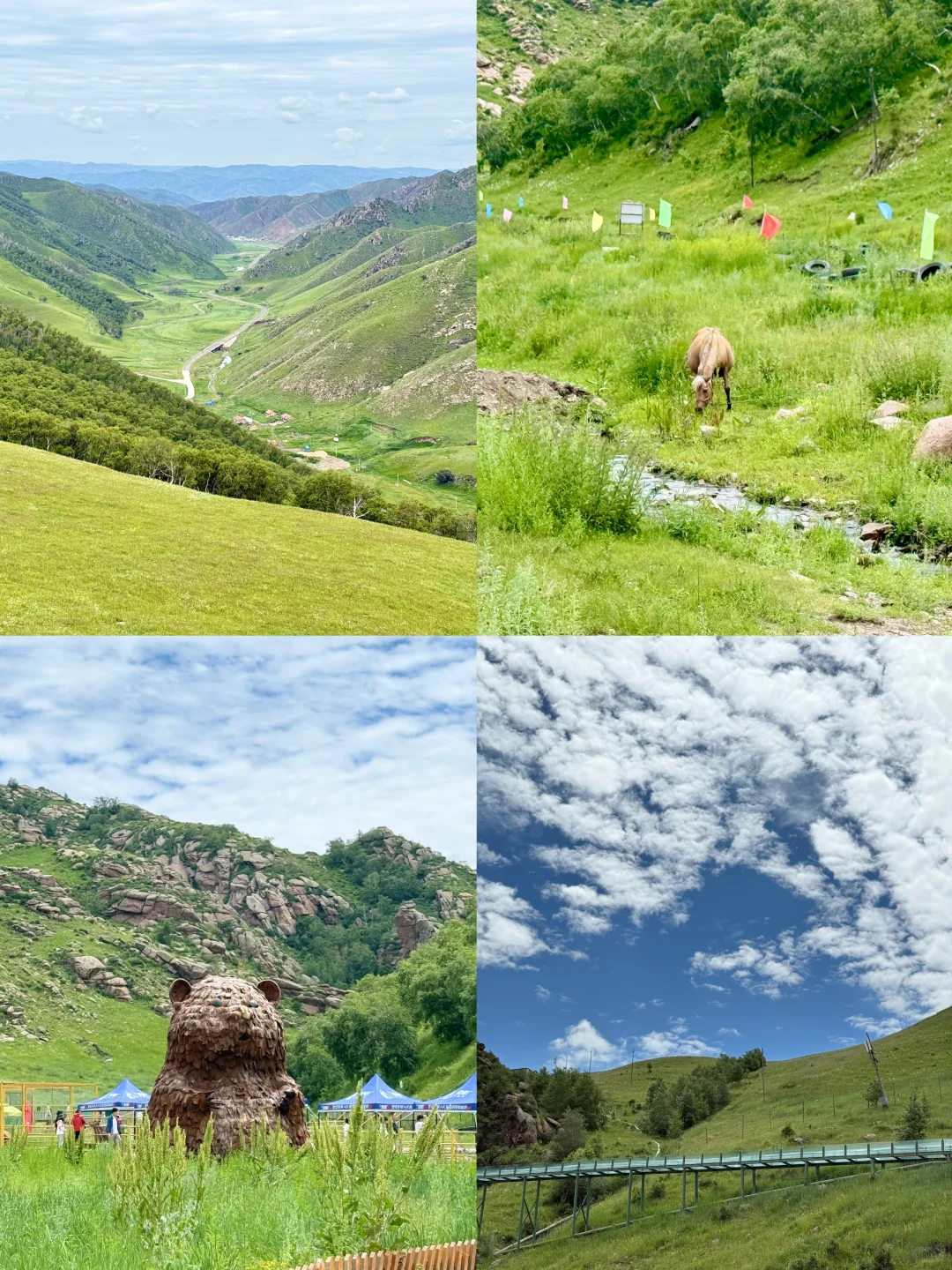 🔥周末避暑天花板‼️两天玩遍火山+草原~