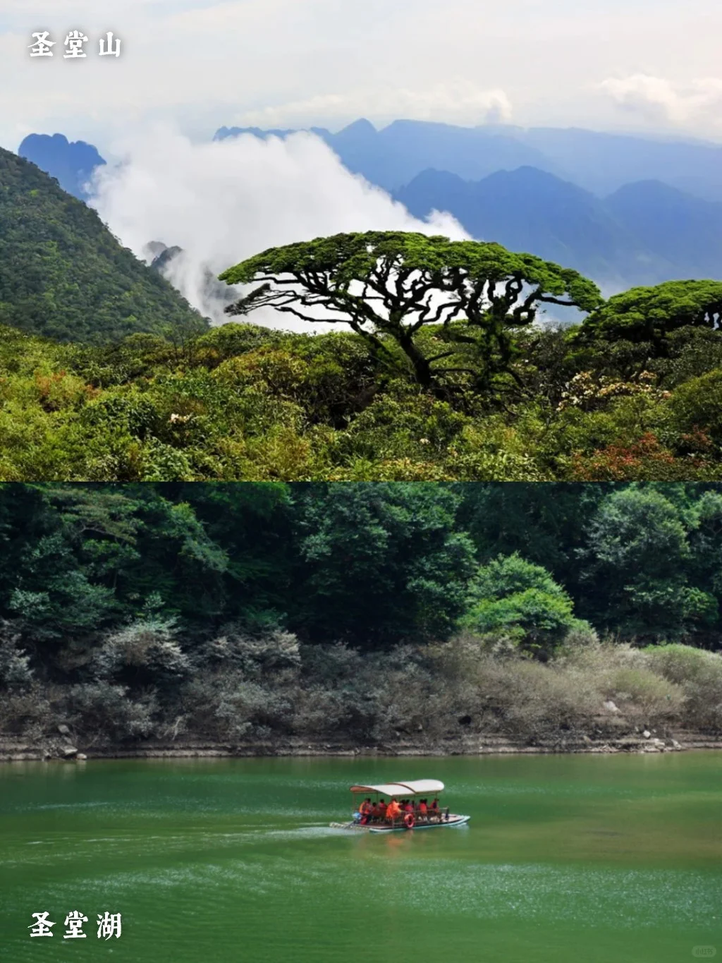 来广西金秀，21℃过夏天！高温避暑宝藏地