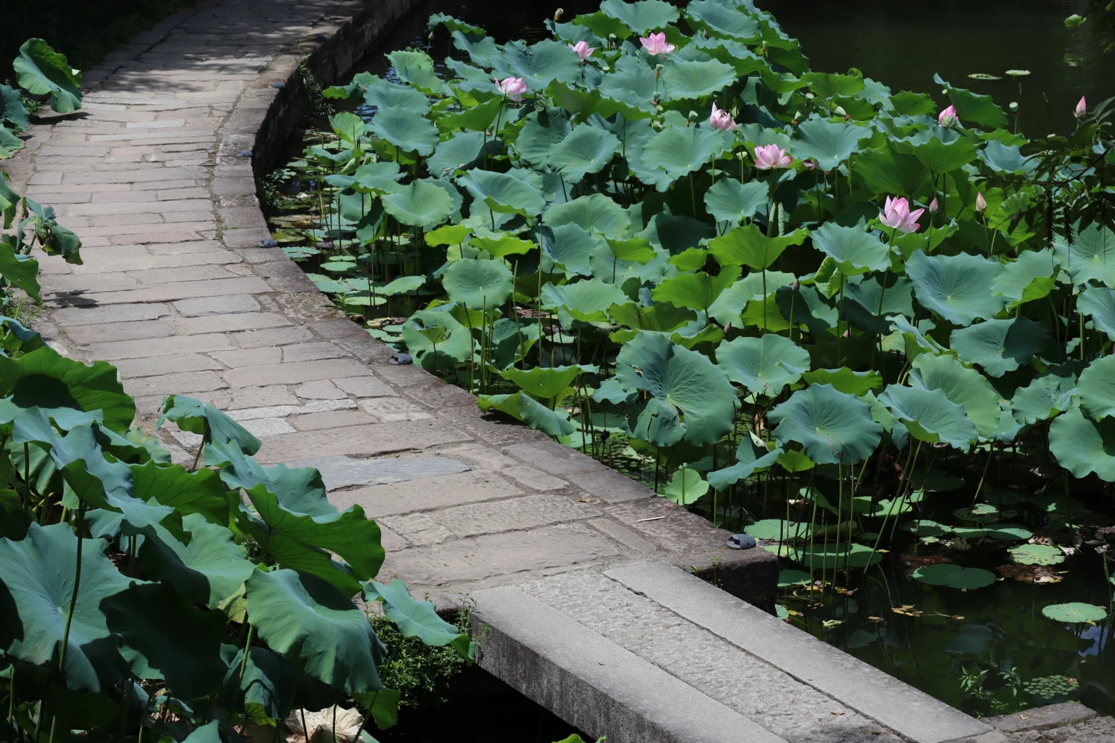 西溪南➕呈坎特种兵一日游