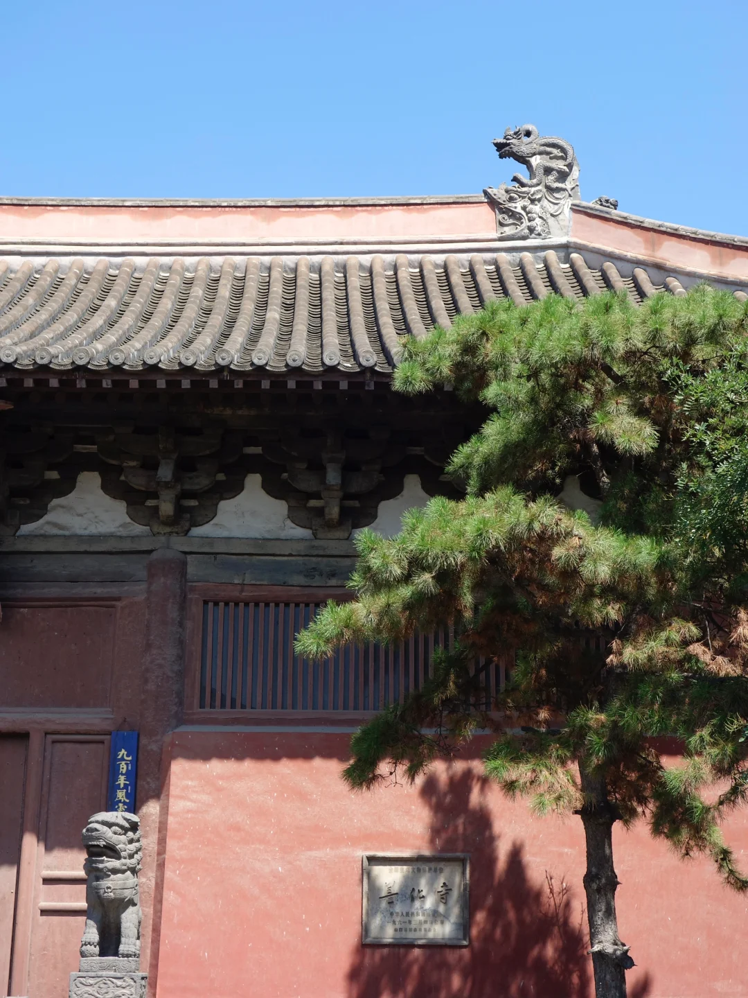 夏天旅游请看看大同😭均温20℃避暑太爽了!!!