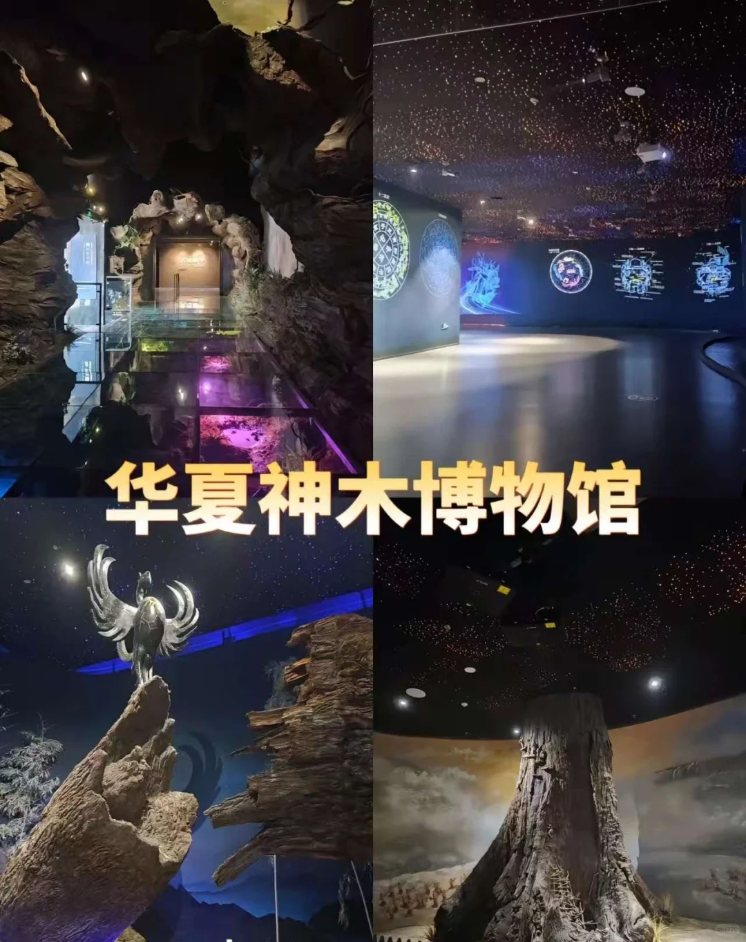 濮阳：邂逅古韵今风的奇幻之旅