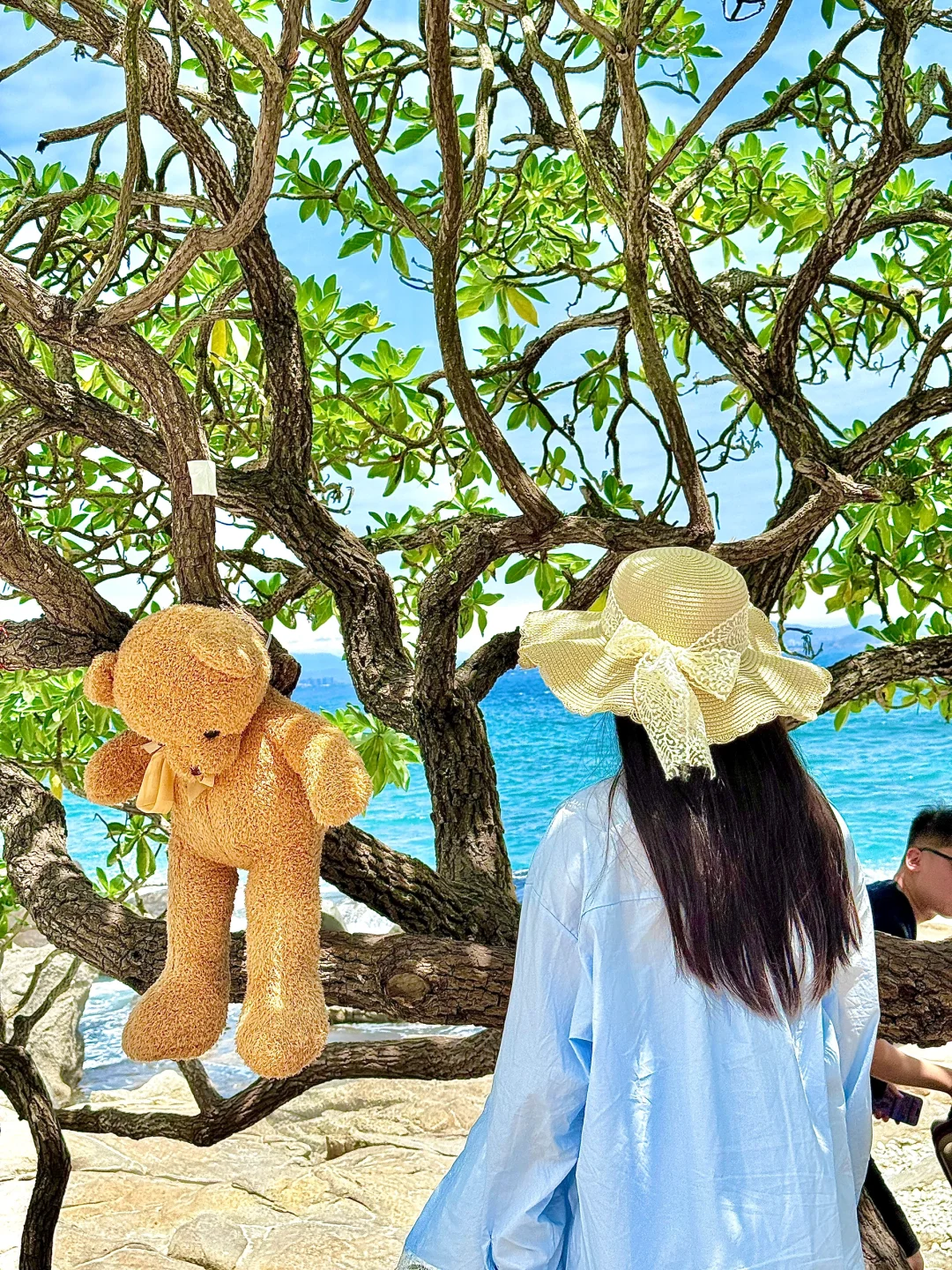 实况live！为了这片玻璃海🐚🫧我飞了趟三亚