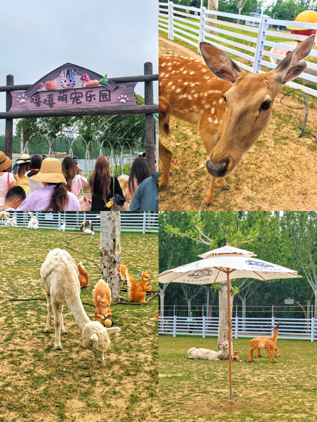 秦皇岛最值回票价的景区——渔岛游玩攻略❗